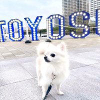 わんびー(Yuji Yamamoto) (@wangan_farmer) 's Twitter Profile Photo わんびー(Yuji Yamamoto) (@wangan_farmer) 's Twitter Profile Photo