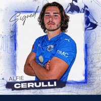 Alfie Cerulli(@alfiecerulli) 's Twitter Profile Photo