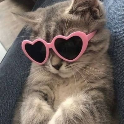 iikertuzz's profile picture. im animal lover