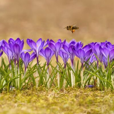 n_hortence's profile picture. .