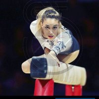 Göksu ÜÇTAŞ ŞANLI (@uctasgoksu) Twitter profile photo