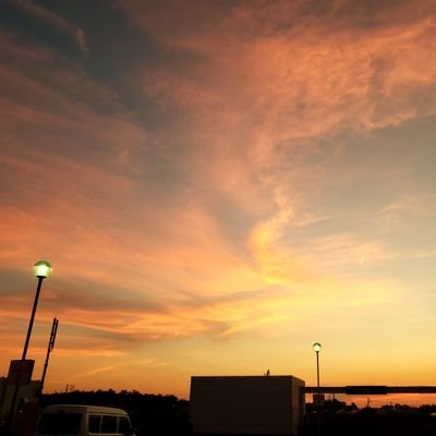 Puni3n's profile picture. 観測者　APEXずっとハマってる