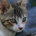 Brittney Morrison - @Brittne75210785 - Twitter