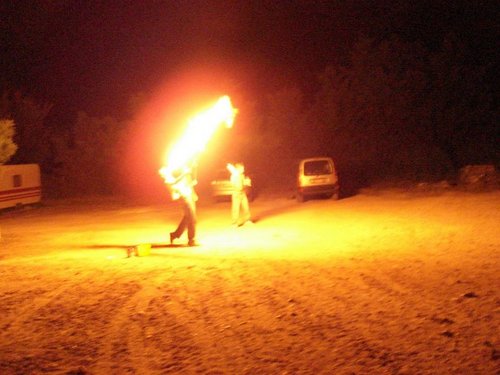 dreisken's profile picture. Ask what you wan to know