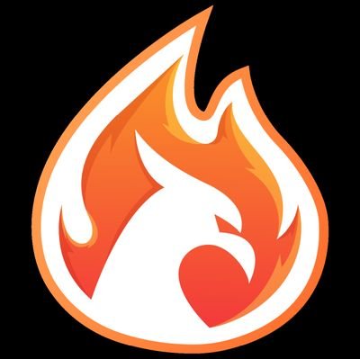 FinanceFirebird Profile Picture