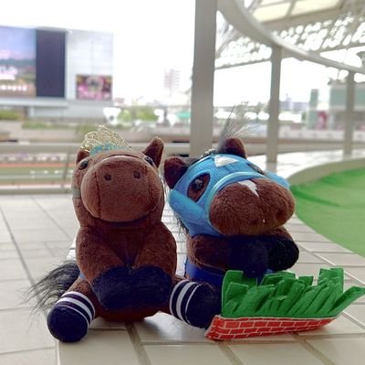 競馬メインのアカウント🐎プロ野球&音楽の話もぼちぼちと⚾🎤広尾とライオンで一口馬主やってます⭐カメラも好き📸