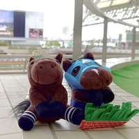 みむら (@nsyn_m) 's Twitter Profile
