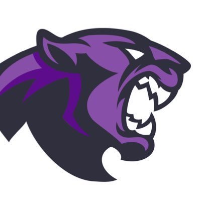 We support Dakota Valley athletics, fine arts, and every student at Dakota Valley Schools. Go Panthers! 💜🖤🐾