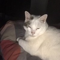 RHug29 (@rhug29) 's Twitter Profile