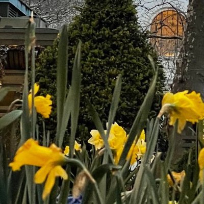 TracyCrichton5's profile picture. Smart money is accumulating ETH even as traders warn of a drop to $2.4K