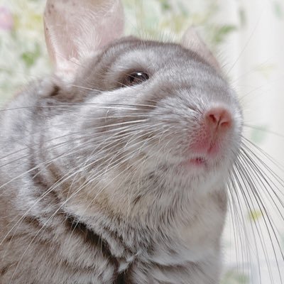 つぼいさんのプロフィール画像