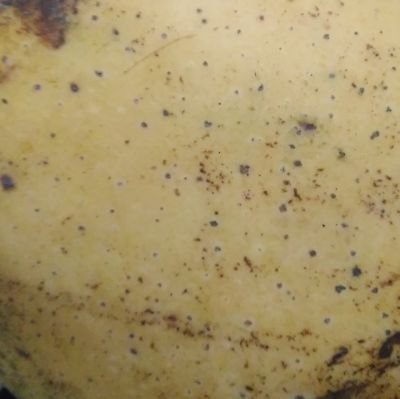 emonrat's profile picture. Insearch of Giveaways!!!