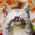 Châton (@chaton_et_lui) Twitter profile photo Châton (@chaton_et_lui) Twitter profile photo