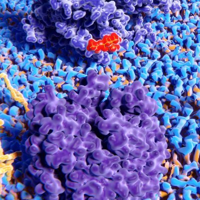 ICL_Receptors Profile Picture