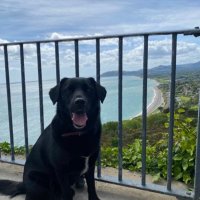 James Forbes (@forbesiv) 's Twitter Profile