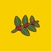 Heine Brothers Coffee (@heinebroscoffee) Twitter profile photo Heine Brothers Coffee (@heinebroscoffee) Twitter profile photo