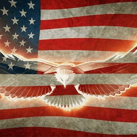 Keith24533603's profile picture. 