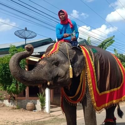 ฝากเป็นกำลังใจอุดหนุนผลไม้ออนไลน์
พังนำโชค ช้างตกงาน(จากเกาะสมุย)ด้วยน่ค่ะ🐘🙏🙏🙏ID/โทร.0868368325