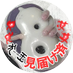 おちゃっぱ🍵 (@ocha_wan_ppa) Twitter profile photo おちゃっぱ🍵 (@ocha_wan_ppa) Twitter profile photo