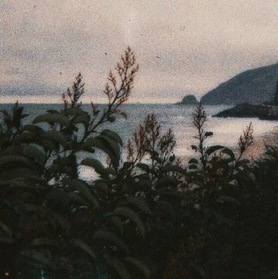 ochaaazipp's profile picture. empty.