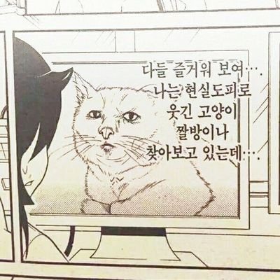 간호대를 고민중인 우울증 불안장애 어쩌구.