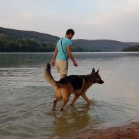 Wesley πβπ¦Ί (@wezaley) 's Twitter Profile