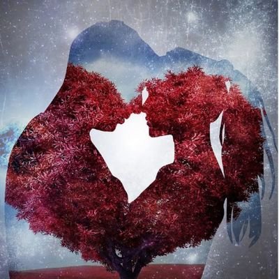 arsalangarp_di's profile picture. Full 🥳🥳🤟✌