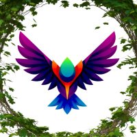 Observ (@observbsc) 's Twitter Profile