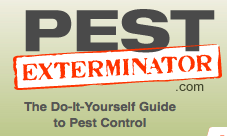Serving up the best tips for DIY pest fightin'; adding some vibrant color to the pest control world.