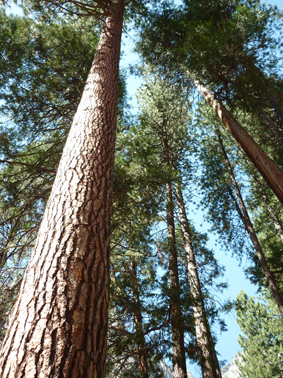 ljlewis_'s profile picture. 