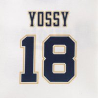 よっしー/イトウ (@ysykito) 's Twitter Profile Photo