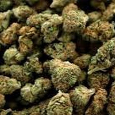 jacobo_rich's profile picture. Hola