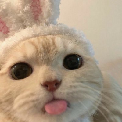 piechunkymunky's profile picture. 