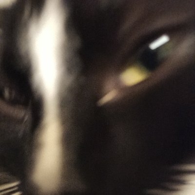 H_YPERIO_N's profile picture. 