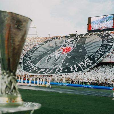 SGE189913's profile picture. 
