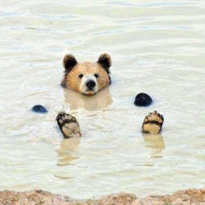 Smitty0066's profile picture. Just your average Canadian nerd. he/him. I like to tell stories and create worlds.