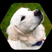 Cooper at NU (@copagandacooper) 's Twitter Profile Photo Cooper at NU (@copagandacooper) 's Twitter Profile Photo