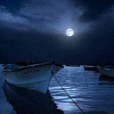 TahirGhouriKha1's profile picture. 