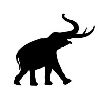 Museum of Natural and Cultural History (@uo_mnch) 's Twitter Profile Photo Museum of Natural and Cultural History (@uo_mnch) 's Twitter Profile Photo