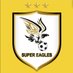 Super Eagles Futsal (@super_futsal) Twitter profile photo