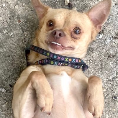 mnemonic_mirage's profile picture. ugh