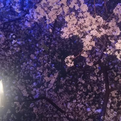 QQ9iVhXlBjkCgzi's profile picture. クレカ無くなりました。審査通らず別のカードはつくれません。
サイト登録や、クレカ登録できないです。
資金を配ってくださる方がいるといいなぁと希望だけは持ってみる。
テンプレな説明の副業勧誘、成り上がりとか女社長フォローすんな。日本語読めんやつ、通報からのブロックしかしねぇからな。詐欺なの分かってんだから来んな。