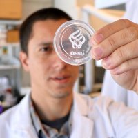 Bertassoni Lab (@bertassonilab) 's Twitter Profile