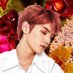ia until taeyong returns 🌹 (@DUALITY0NG) Twitter profile photo