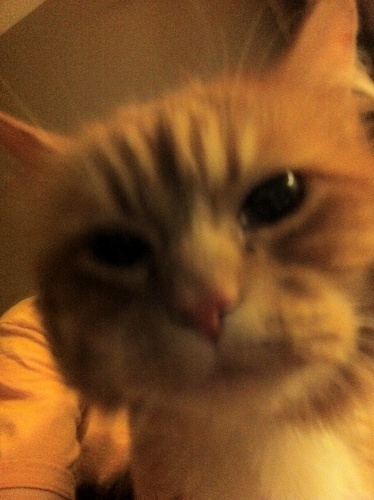 HomerCotti's profile picture. 