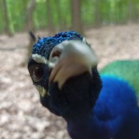 uᴉʞʌoʞɐɯ (@makovkinm) 's Twitter Profile Photo uᴉʞʌoʞɐɯ (@makovkinm) 's Twitter Profile Photo