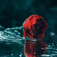 I am MAXIMUS (@maxwellmahlomo1) 's Twitter Profile Photo