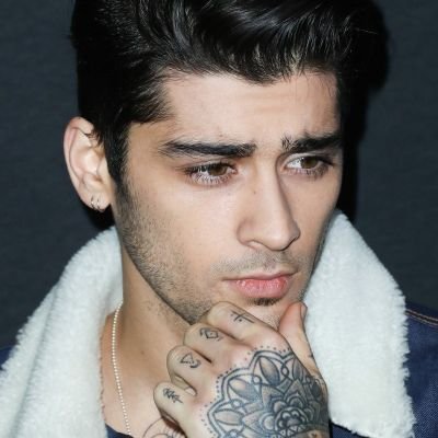 I decided to follow all the people zayn follows to know what his tml looks like.