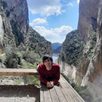 Carlos Ferrer (@cafebruchem) 's Twitter Profile