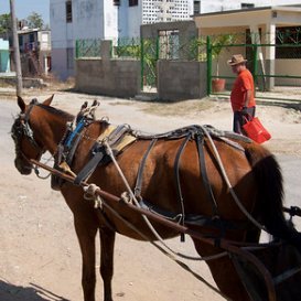 atinoahumada's profile picture. Fotógrafo 📸
Amo mi país, amo los dibujos animados, amo la cultura de mi 🇨🇱